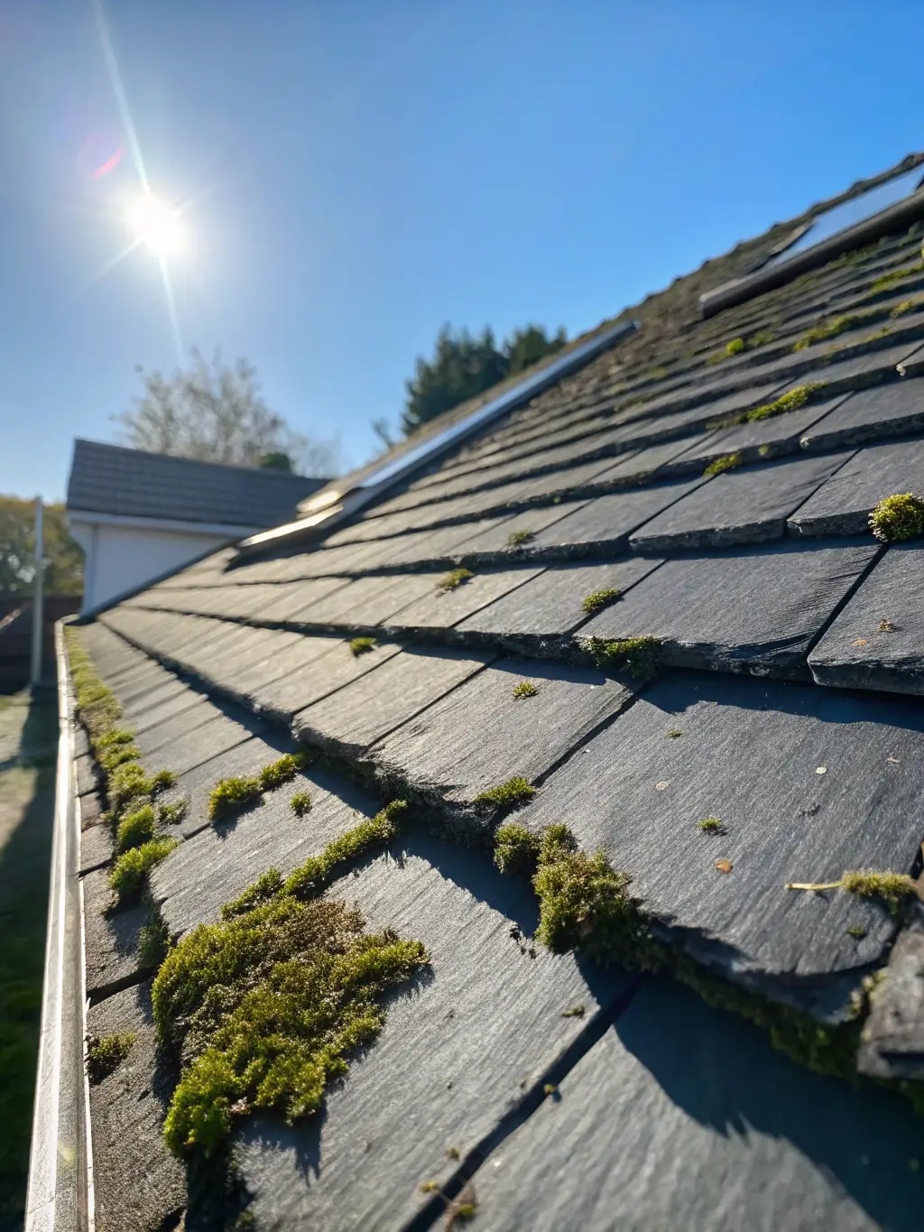 A roof in Miami, Florida, after a professional roof washing service by The Foam Theory, showing the removal of algae and moss, with a focus on the clean, undamaged shingles.