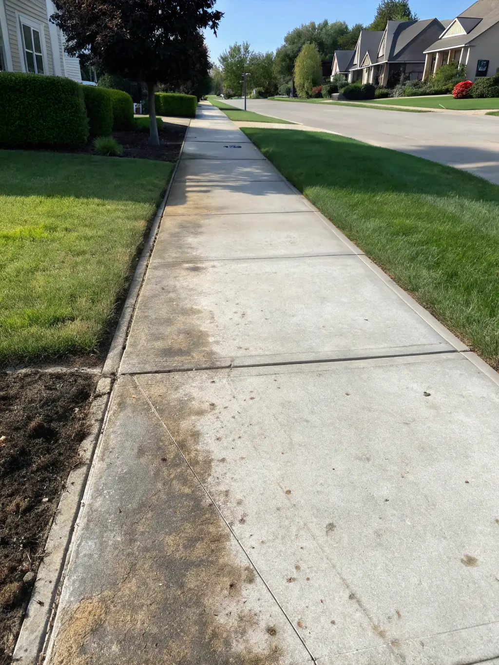 A clean sidewalk in Miami, Florida, after power washing by The Foam Theory, demonstrating the removal of dirt and stains, making it safe and visually appealing.